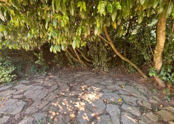 Casa semi indipendente Borgata Cortese, Montemale di Cuneo - foto 8