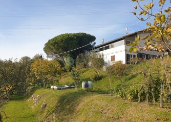 03.jpg - Villa Fosdinovo - foto 18