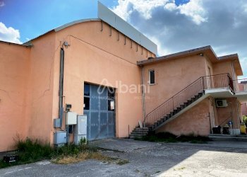 IMG-8429.jpg - Capannone Arcola - foto 1