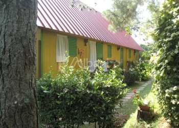 esterno.jpg - Baita Fivizzano - foto 1