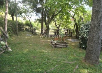 esterno.jpg - Baita Fivizzano - foto 3