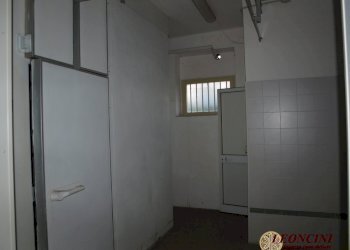 P1015545.JPG - Commercial Premises Via roma, Lucca - photo 10