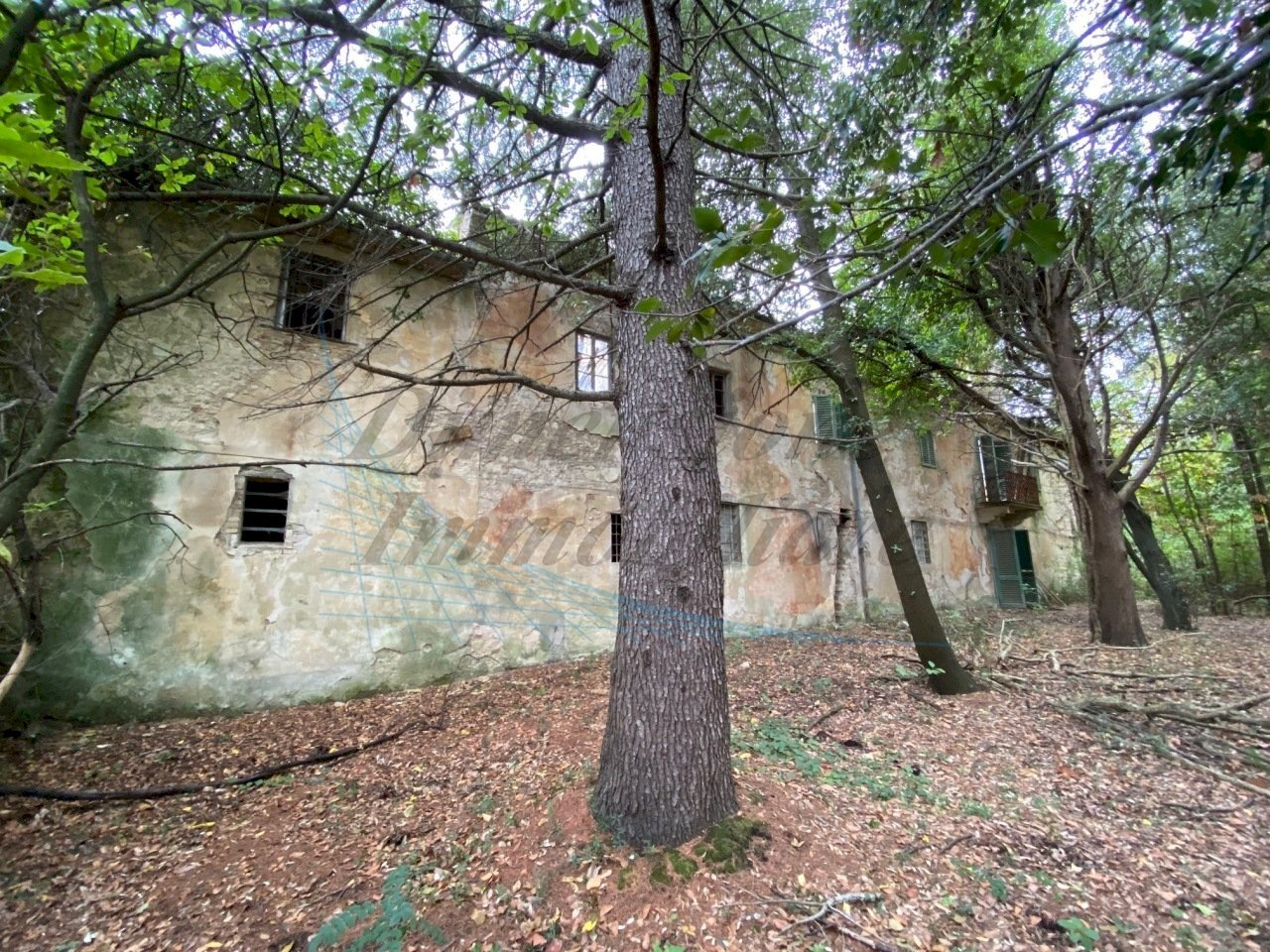 IMG_9111.jpg - Villa Strada Regionale 206, Collesalvetti - foto 2