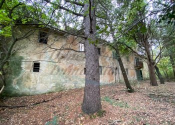 IMG_9111.jpg - Villa Strada Regionale 206, Collesalvetti - foto 2