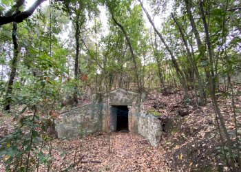 IMG_9105.jpg - Villa Strada Regionale 206, Collesalvetti - foto 11