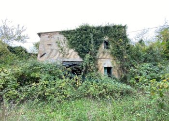 IMG_9086.jpg - Villa Strada Regionale 206, Collesalvetti - foto 14