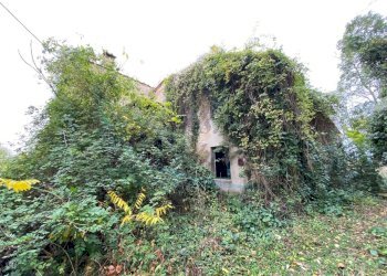 IMG_9090.jpg - Villa Strada Regionale 206, Collesalvetti - foto 17