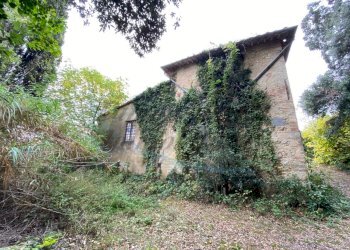 IMG_9101.jpg - Villa Strada Regionale 206, Collesalvetti - foto 22