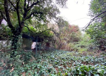 IMG_9104.jpg - Villa Strada Regionale 206, Collesalvetti - foto 24