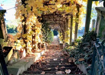 Villa Storica Strada Borgomale, Asti - foto 4