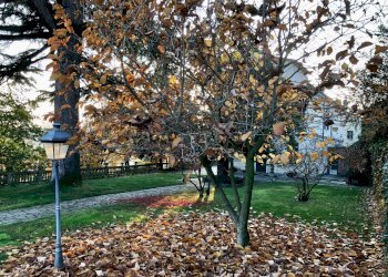 Villa Storica Strada Borgomale, Asti - foto 9