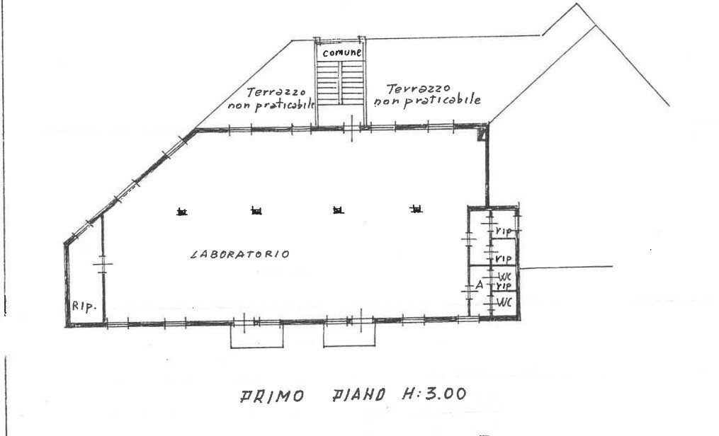 plan .jpg - Laboratorio Modena - planimetria 1