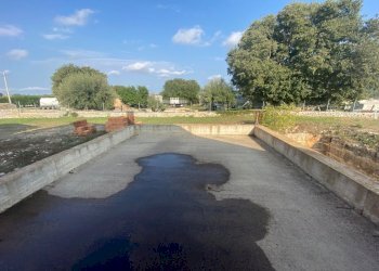 IMG_3842.jpg - Rustico C.DA PIETRE NERE, Modica - foto 8