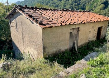 rustico casa colonica in vendita a Lucca (8).jpg - Casale Via delle Mura 13, Pescaglia - foto 5