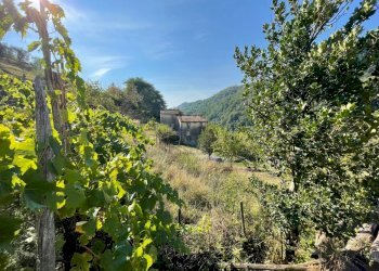 rustico casa colonica in vendita a Lucca (26).jpg - Casale Via delle Mura 13, Pescaglia - foto 9