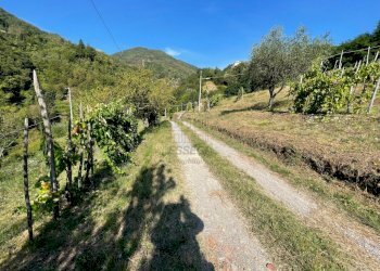 rustico casa colonica in vendita a Lucca (51).jpg - Casale Via delle Mura 13, Pescaglia - foto 12