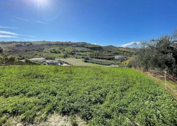 Rustic CONTRADA PEZZALUNGA, Ripatransone - photo 11