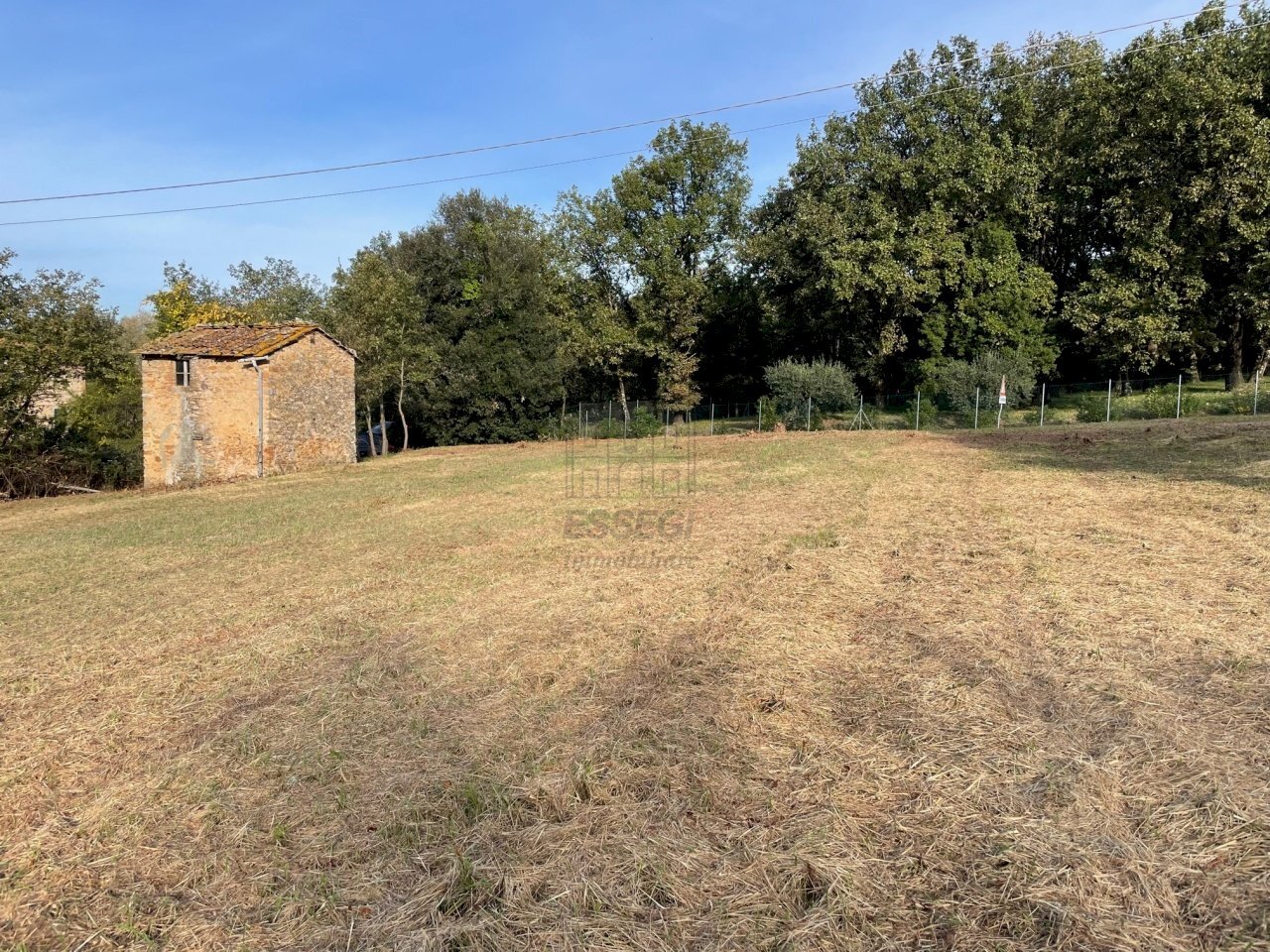 Rustico singolo con terreno (3).jpg - Magazzino Lucca - foto 3