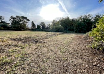 Rustico singolo con terreno (1).jpg - Magazzino Lucca - foto 1