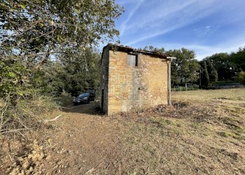 Rustico singolo con terreno (2).jpg - Magazzino Lucca - foto 2