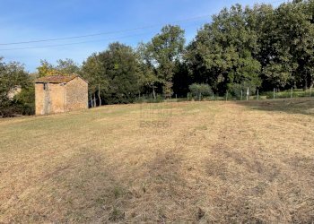 Rustico singolo con terreno (3).jpg - Magazzino Lucca - foto 3