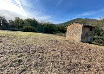 Rustico singolo con terreno (5).jpg - Magazzino Lucca - foto 5