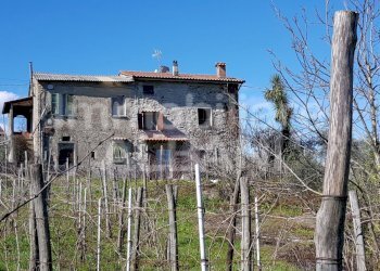 VE252_rustico in vendita con terreno - Rustico Vezzano Ligure - foto 1