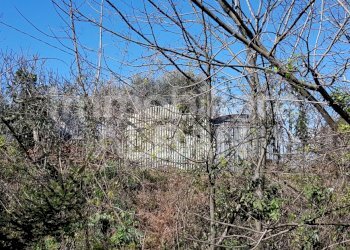 20200304_113203.jpg - Rustico Vezzano Ligure - foto 4