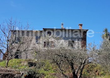 20200304_113237.jpg - Rustico Vezzano Ligure - foto 6