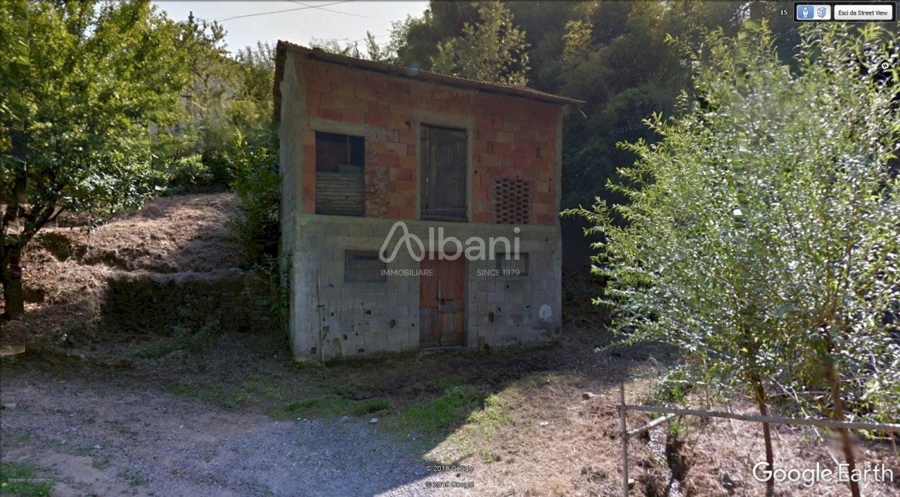 MS84_vendita_Mulazzo _rustico_terreno_agricola - Magazzino Mulazzo - foto 1