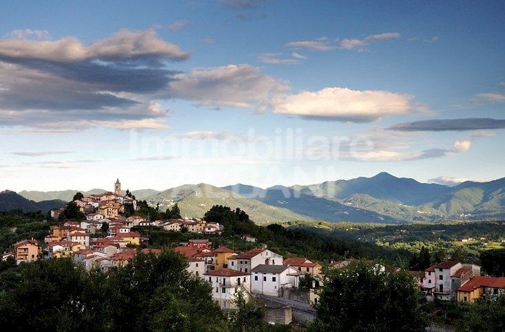IN306_vendita_semindipendente_ceserano_toscana - Porzione di casa Fivizzano - foto 1