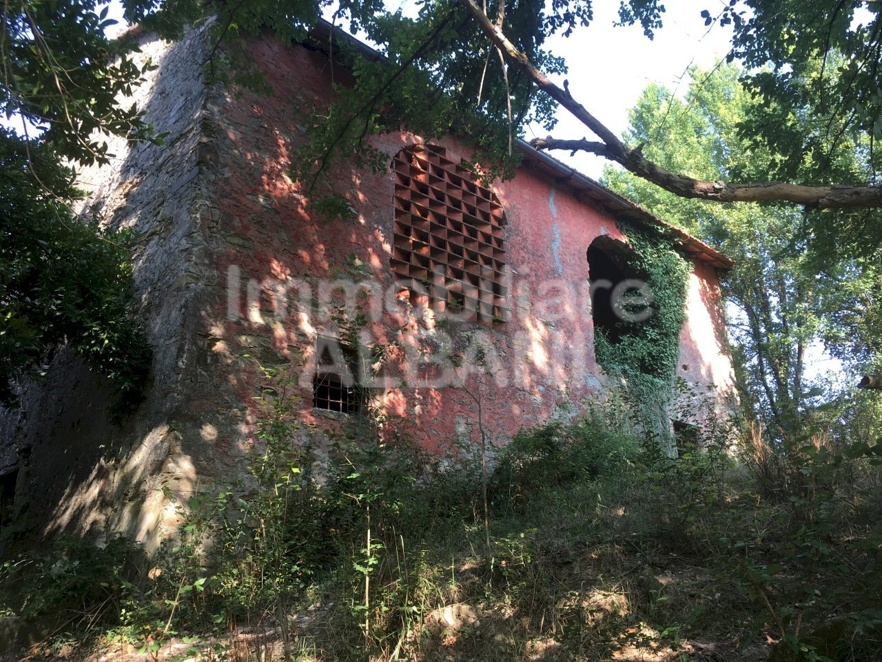 IN277_vendita_rustico_terreno_toscana_fivizzano_ - Rustico Fivizzano - foto 1