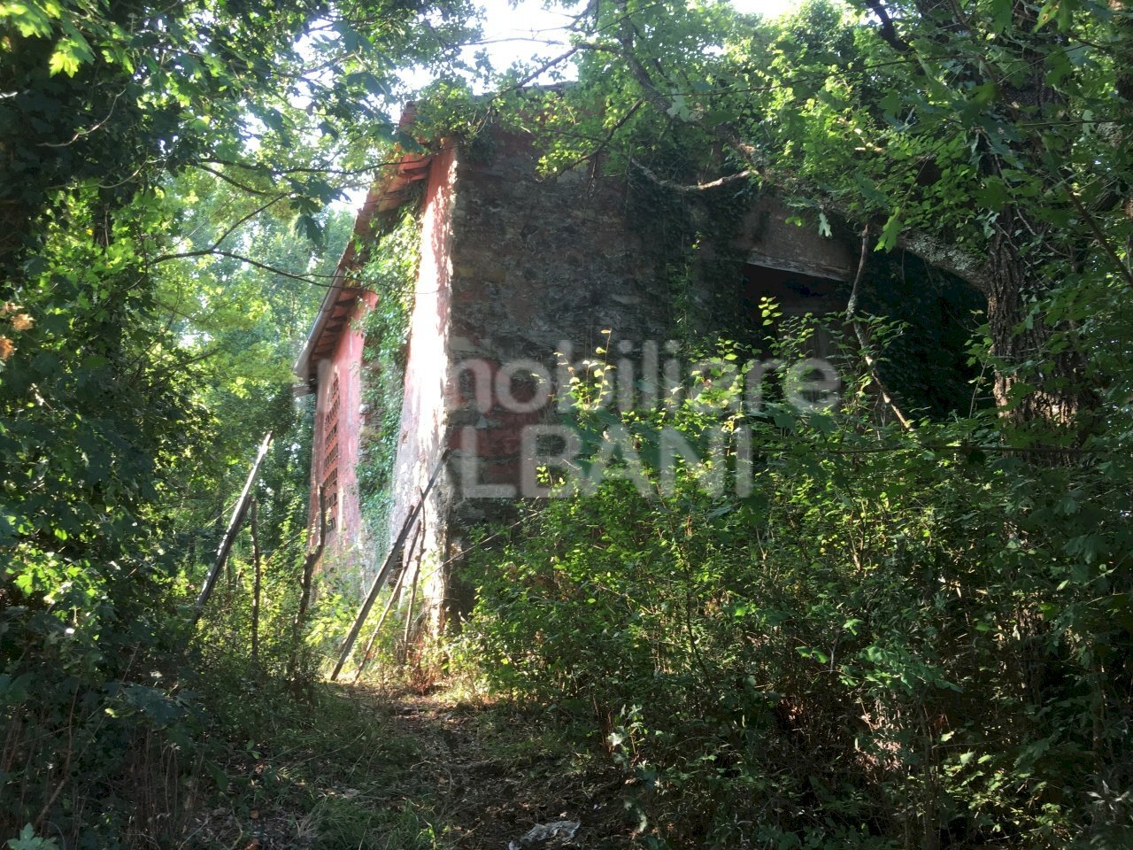 IN277_vendita_rustico_terreno_toscana_fivizzano_ - Rustico Fivizzano - foto 3