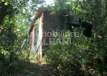 IN277_vendita_rustico_terreno_toscana_fivizzano_ - Rustico Fivizzano - foto 3