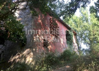 IN277_vendita_rustico_terreno_toscana_fivizzano_ - Rustico Fivizzano - foto 4