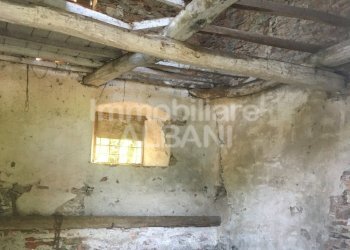 IN277_vendita_rustico_terreno_toscana_fivizzano_ - Rustico Fivizzano - foto 9