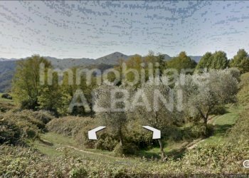 IN277_vendita_rustico_terreno_toscana_fivizzano_ - Rustico Fivizzano - foto 14