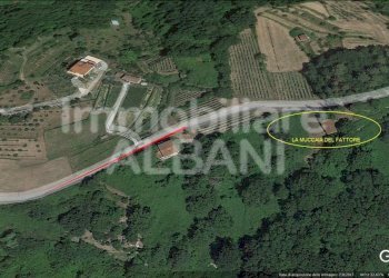 IN277_vendita_rustico_terreno_toscana_fivizzano_ - Rustico Fivizzano - foto 15