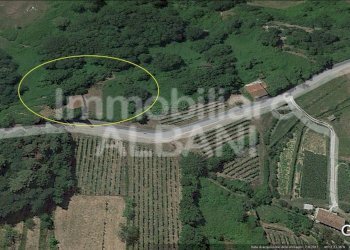 IN277_vendita_rustico_terreno_toscana_fivizzano_ - Rustico Fivizzano - foto 16