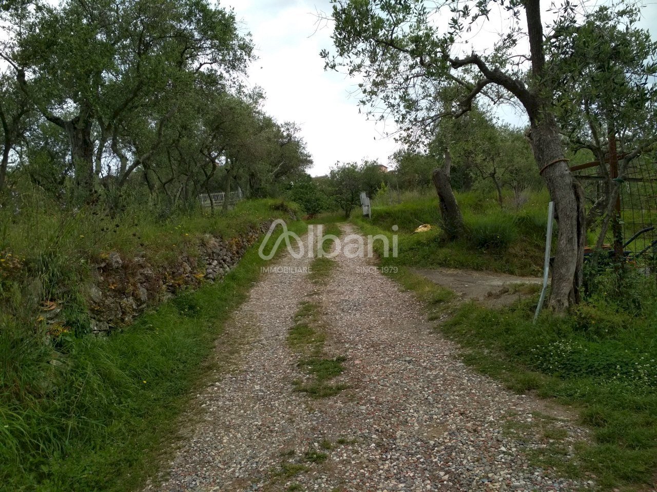 IN268_vendiamo rustico in pietra con terreno - Rustico Vezzano Ligure - foto 3