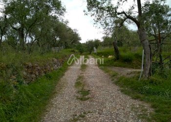 IN268_vendiamo rustico in pietra con terreno - Rustico Vezzano Ligure - foto 3