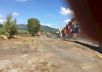 IMG-9235.JPG - Terreno edificabile Santo Stefano di Magra - foto 5