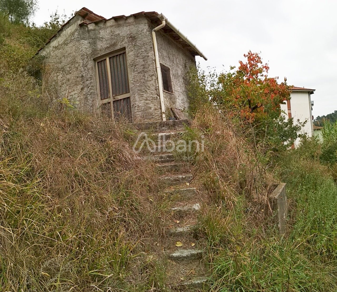 IMG_20181025_205222.jpg - Terreno agricolo Vezzano Ligure - foto 3