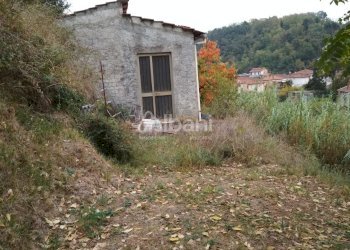 IMG_20181025_163731.jpg - Terreno agricolo Vezzano Ligure - foto 1