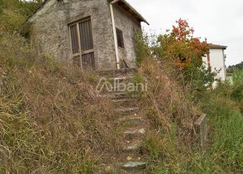 IMG_20181025_205222.jpg - Terreno agricolo Vezzano Ligure - foto 3