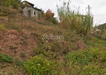 IMG_20181025_205205.jpg - Terreno agricolo Vezzano Ligure - foto 5