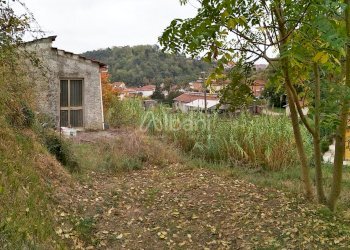 IMG_20181025_205242.jpg - Terreno agricolo Vezzano Ligure - foto 6