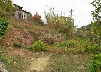IMG_20181025_205319.jpg - Terreno agricolo Vezzano Ligure - foto 7