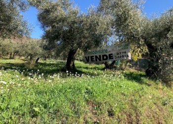 IMG_2723.jpg - Terreno edificabile Via Antonio Gramsci, Marcellina - foto 1