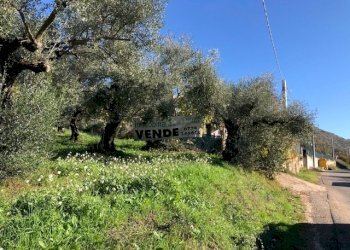 IMG_2722.jpg - Terreno edificabile Via Antonio Gramsci, Marcellina - foto 7